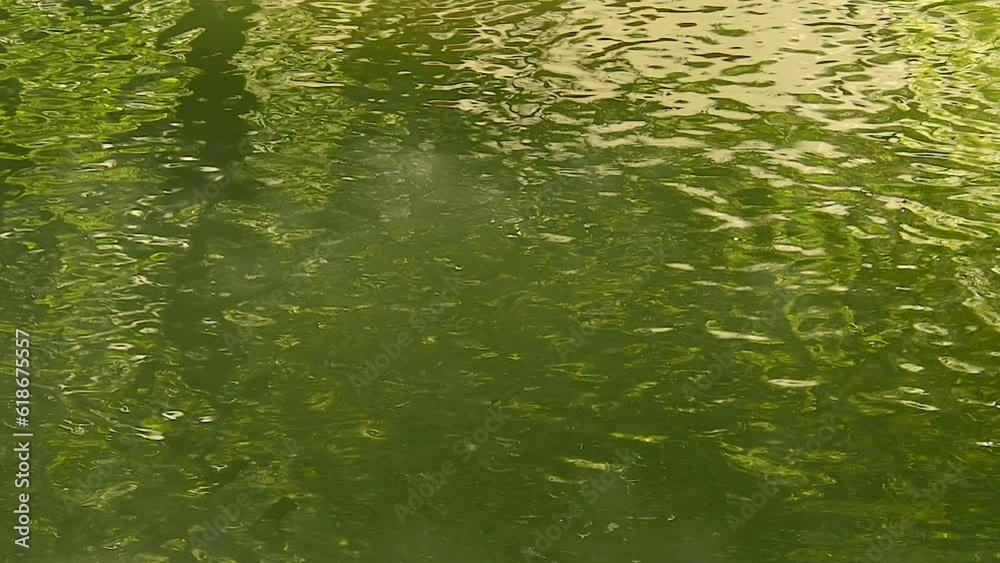 background, water surface in a stream with waves, close-up. water surface in the forest, green space for text or other suitable, realtime background, water surface in a stream with waves, close-up. water surface in the forest, green space for text or other suitable, realtime