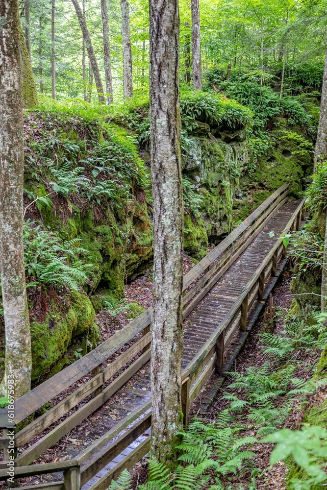 beartown wv beartown wv