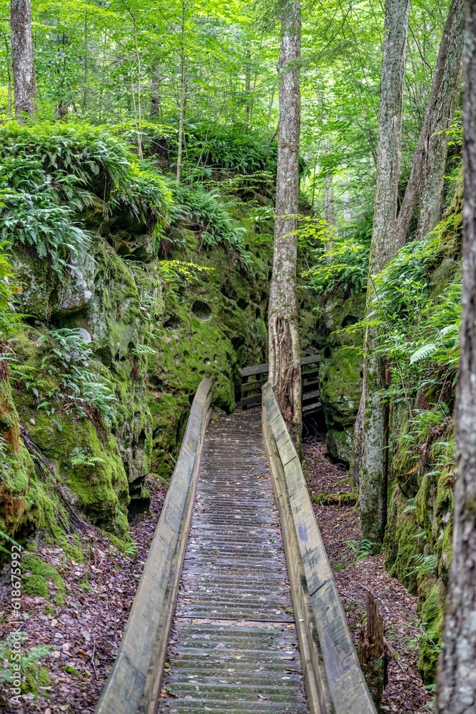 Fototapeta premium beartown wv