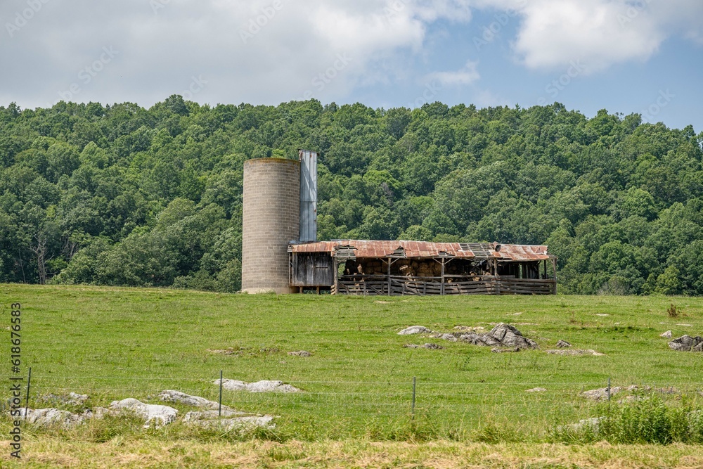 farm farm
