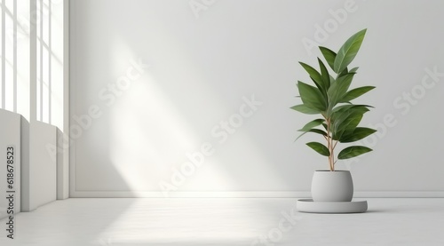 Tropical plant with lush leaves on floor near white wall. Space for text