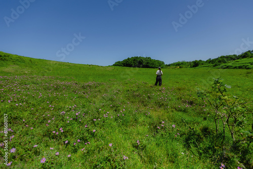 Girl standing in meadow with flowers on summer sunny day on top of hil