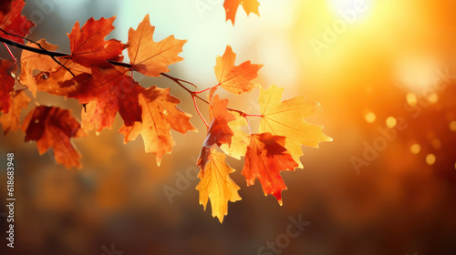Autumn leaves on bokeh Background