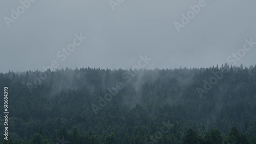 梅雨時期の湿度を感じる、霧深い木々や山の様子 photo