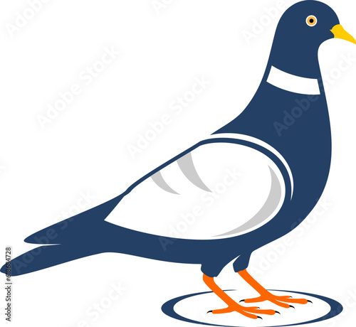 Simple blue pigeon with shadow