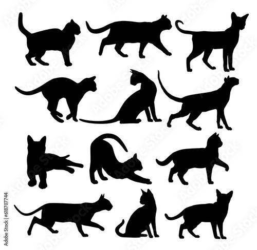 The set of silhouettes domestic cats.
