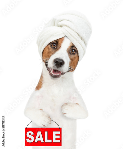 Funny jack russell terrier puppy with towel on it head shows sales symbol. isolated on white background © Ermolaev Alexandr