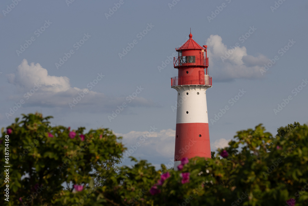 Blick auf den Leuchtturm Falshöft, Geltinger Birk, Angeln, Schleswig-Holstein