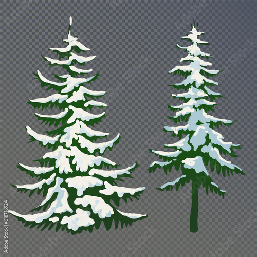 Realistic vector illustration of a spruce tree in the snow on a transparent background. Green fluffy pine isolated on a white background. Winter snow-covered trees. Elements for the Christmas scene.