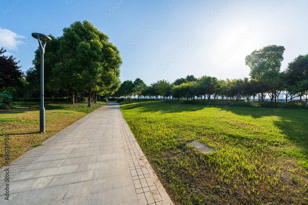 Fototapeta premium City park