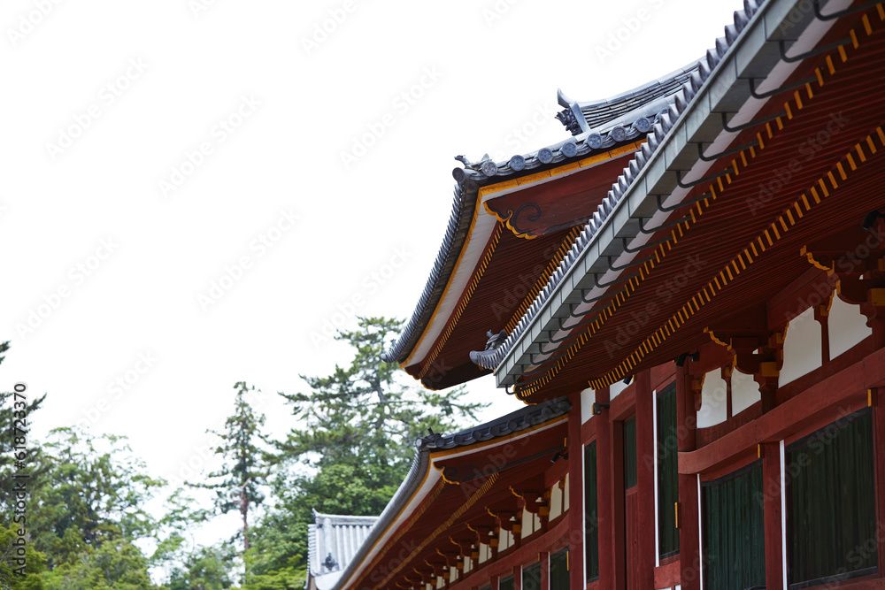 Japanese traditional shrine, Japan travel