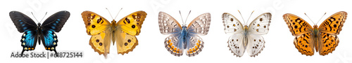 collection of different colorful butterflies isolated on transparent white background  © SuperPixel Inc