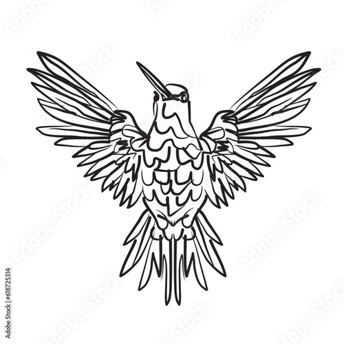 front view Hummingbird vector illustration with brush tool style isolated on white