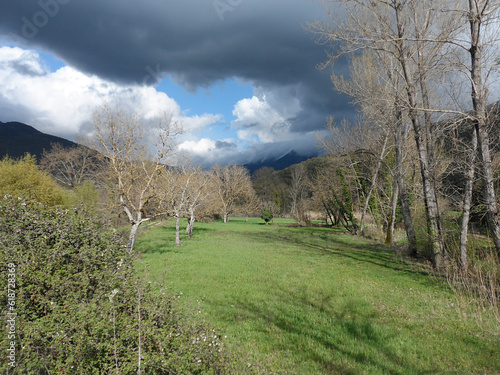 Autumn landscape with grass field and trees  in the mountains under heavy clouds