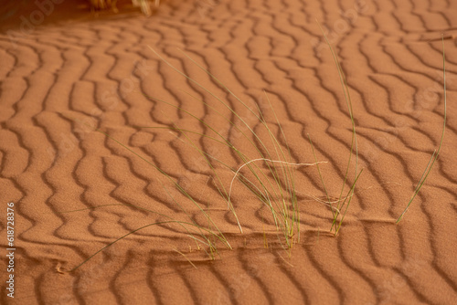 Fototapeta Naklejka Na Ścianę i Meble -  Scenic sand pattern on a desert's dune, drawn from the wind