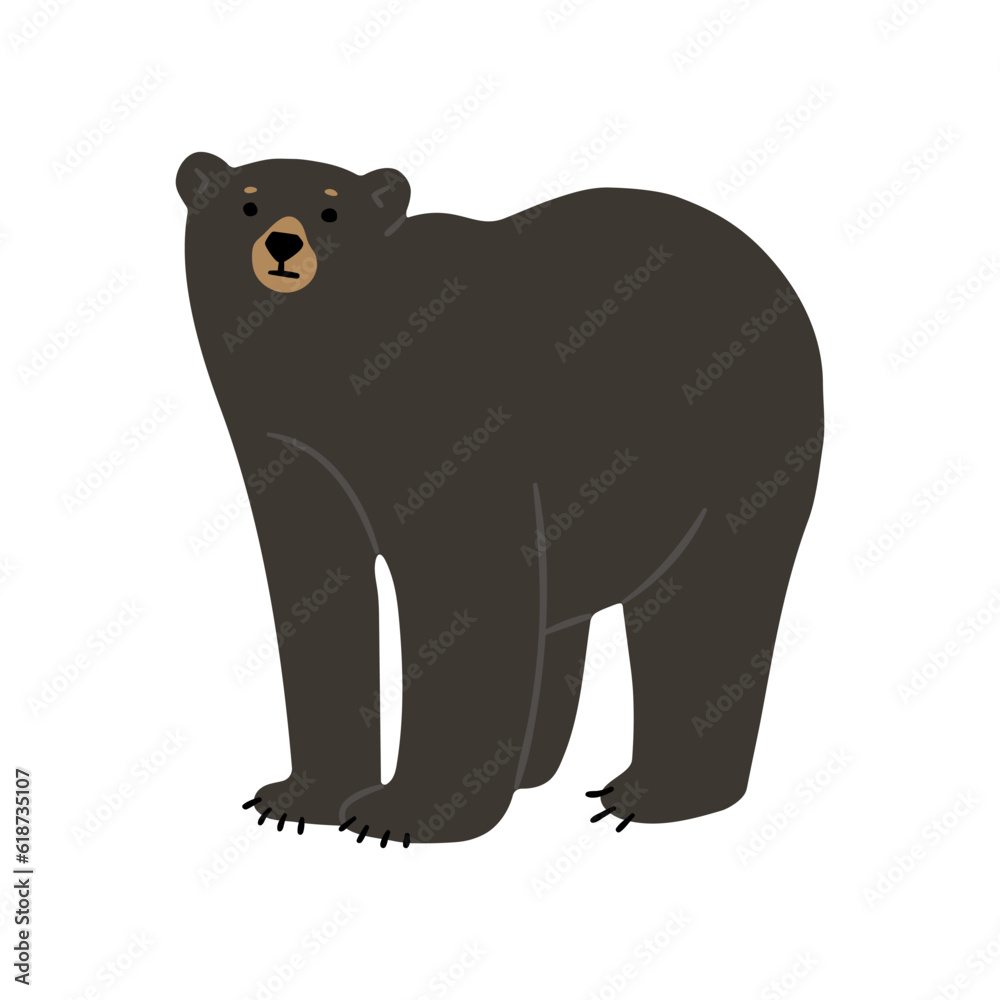 Fototapeta premium American Black Bear Single 35 cute on a white background, vector illustration.