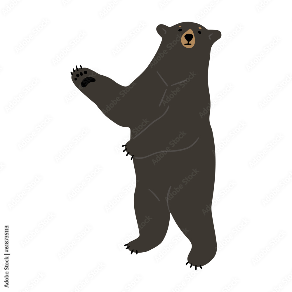 American Black Bear Single 32 cute on a white background, vector illustration. 