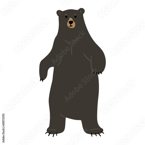 American Black Bear Single 31 cute on a white background  vector illustration. 