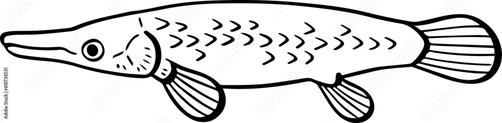 cartoon fish drawing illustration. Stock Vector | Adobe Stock