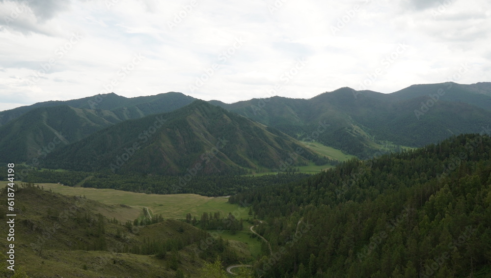 mountain pass, mountain valley, mountain forest, coniferous forest in the mountains, forest on the slope of the mountains