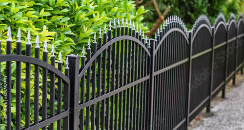 iron fence

