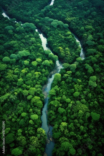 aerial view of lush green forests and meandering rivers, created with generative ai