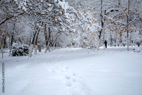 Snow tracks on Samarkand boulevard. © oybekostanov