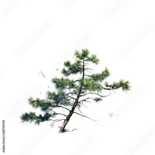 natural tree on a white background