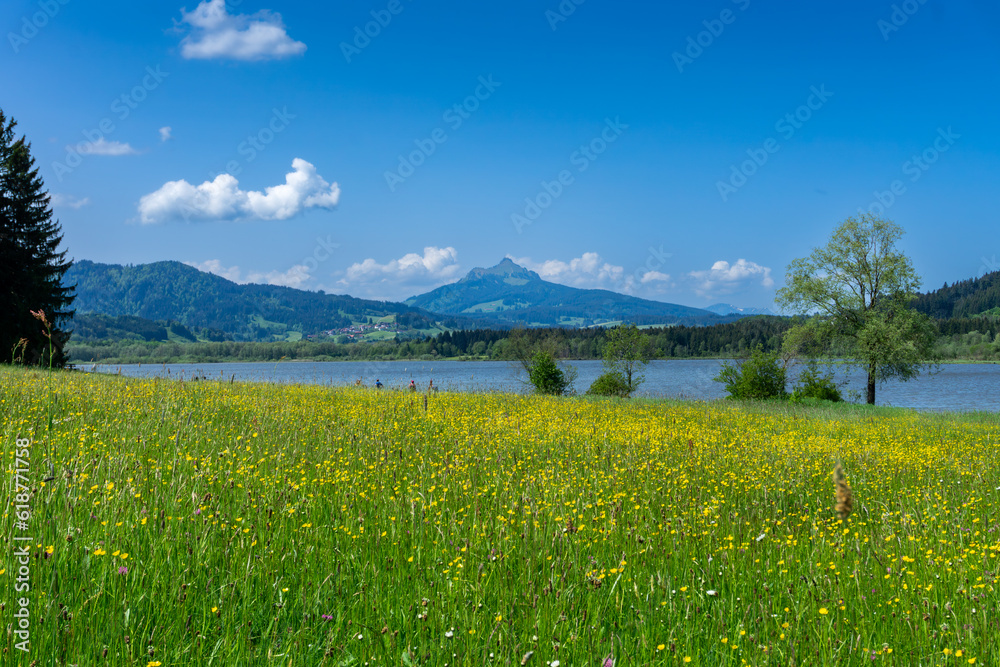 Urlaub im schönen Allgäu Bayern: der Grüntensee, nähe Nesselwang als Ausflugsziel, zum Baden, Radfahren, Spazierengehen und Wandern im Frühsommer mit Blick auf den Gipfel des Grünten Berges Urlaub im schönen Allgäu Bayern: der Grüntensee, nähe Nesselwang als Ausflugsziel, zum Baden, Radfahren, Spazierengehen und Wandern im Frühsommer mit Blick auf den Gipfel des Grünten Berges