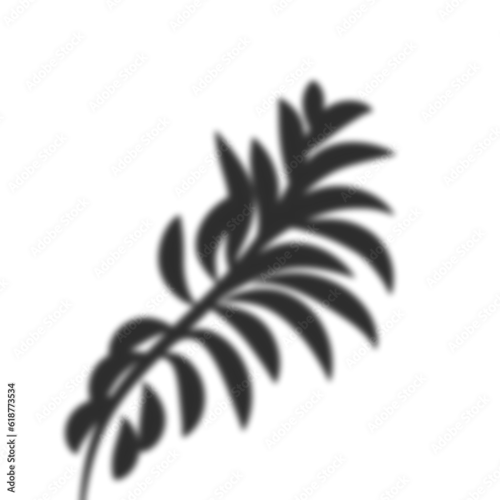 Palm leaves shadow
