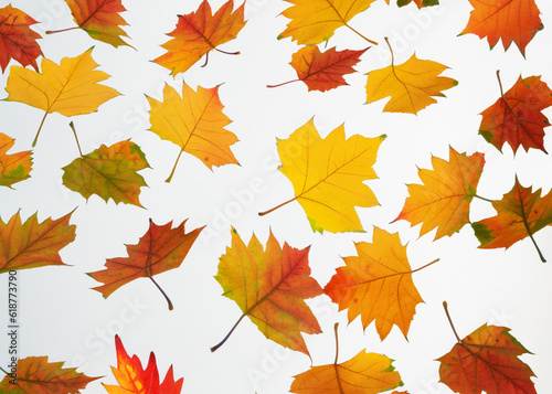 fresh autumn leaves flying around over white background, trendy levitation illustration created with generative ai technology