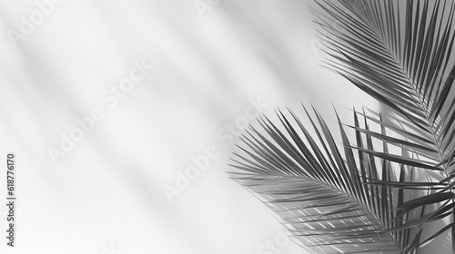 Light and shadow leaves  palm leaf on grunge white wall concrete background. Silhouette abstract tropical leaf natural pattern for wallpaper  spring  summer texture. Black and white blurred image back