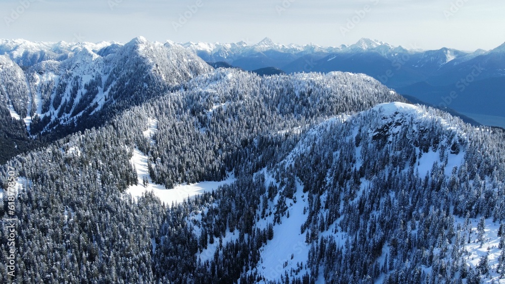 Mesmerizing view of a winter scene of snow-capped mountains and evergreen pine trees