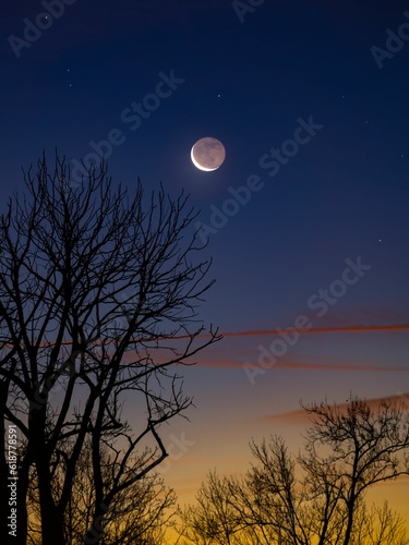 Low angle shot of the moon shining in the sky above trees at night © Michael K Greer/Wirestock Creators