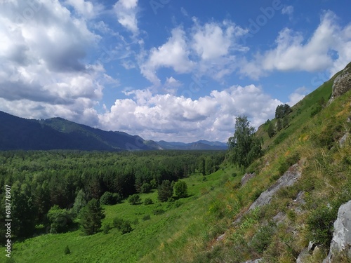 landscape in summer