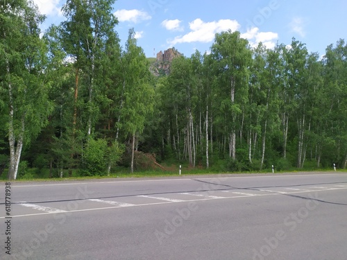 road in the forest