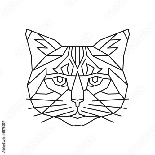 Cat Polygonal Vector. Geometric line animal