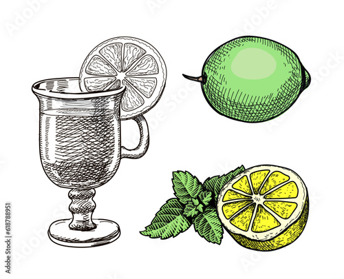 Hand drawn mojito cocktail in glass with, lime slice and mint. Summer lemonade ingredients. Sketch elements.