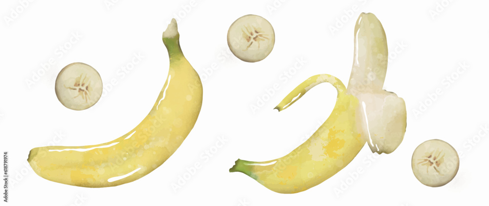 Bright tasty yellow bananas hand drawn on a white background. Tropical fruits for decor, designs, presentations and promotional banners, labels and covers. Bright tasty yellow bananas hand drawn on a white background. Tropical fruits for decor, designs, presentations and promotional banners, labels and covers.