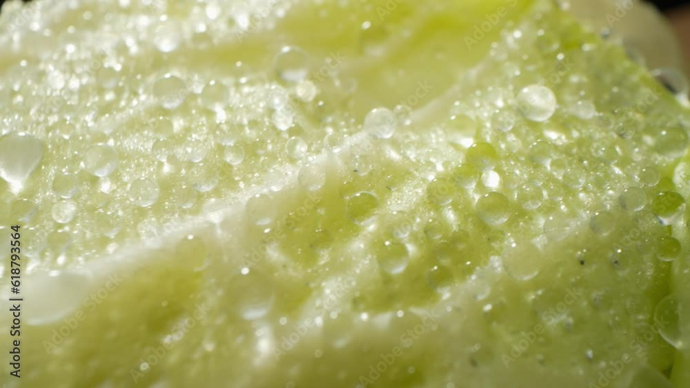 A captivating macro video showcases a vibrant green cabbage, adorned with sparkling droplets of water. The probe lens captures every intricate detail, revealing the refreshing beauty of nature
A captivating macro video showcases a vibrant green cabbage, adorned with sparkling droplets of water. The probe lens captures every intricate detail, revealing the refreshing beauty of nature