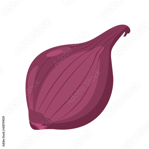 red onion vector illustration red onion isolated on white background design