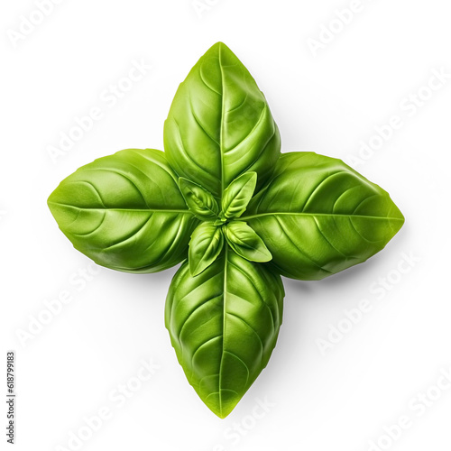 Basil leaf transparent, isolated, top view

