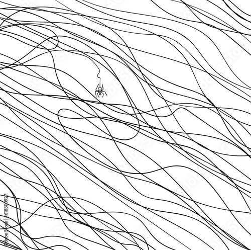 A lot of cobwebs with a diagonal style and a white spider