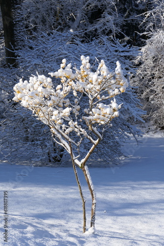 Eingeschneit