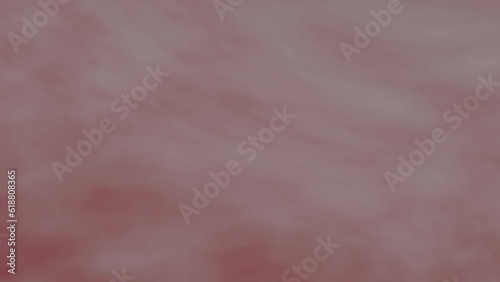 Fluid Gradient Animation. Loopable Background. Pastel Gradient Loop. Red, White, Burgundy