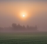 A misty sunrise with trees