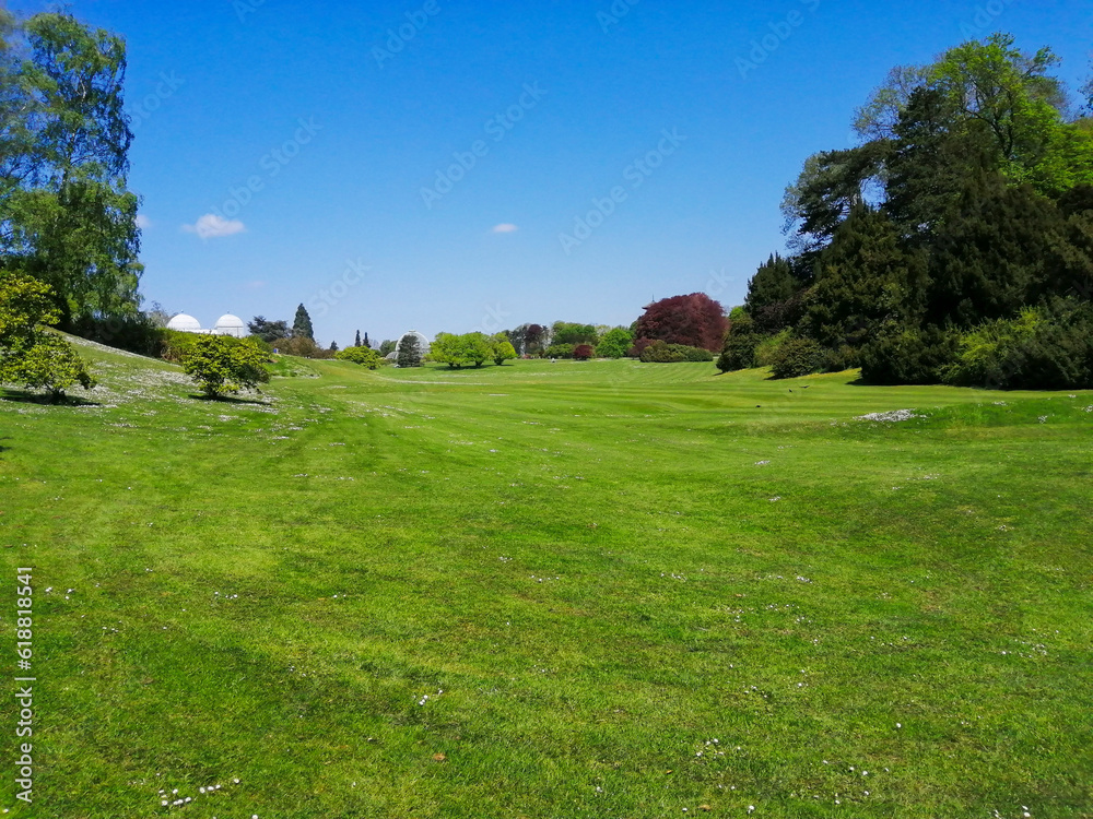 landscape with grass