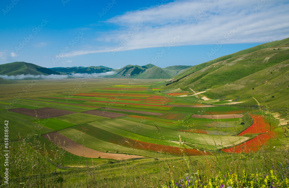Panoramic view of Pian Grande with the famous flowering in Umbria