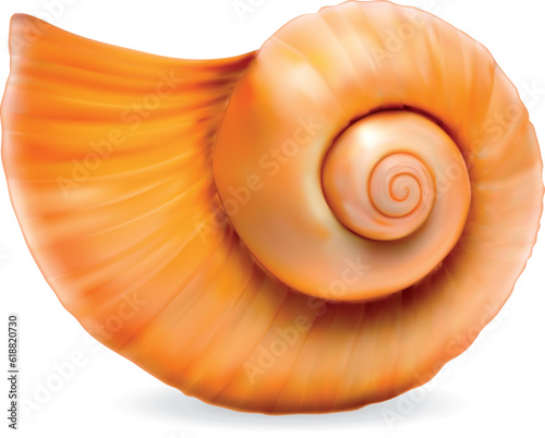 Seashell on white background. Vector EPS-10