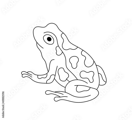 Vector isolated one single simplest sitting frog or toad with spots colorless black and white contour line easy drawing